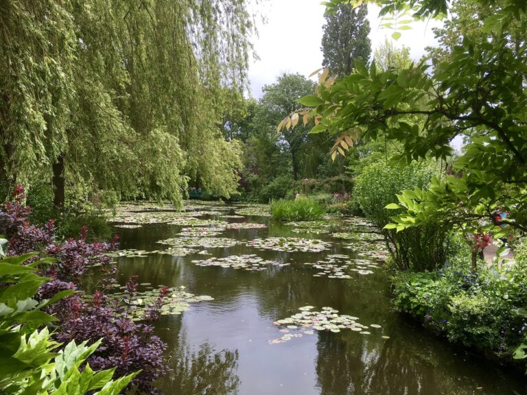 cluade-monet-1589932_1920