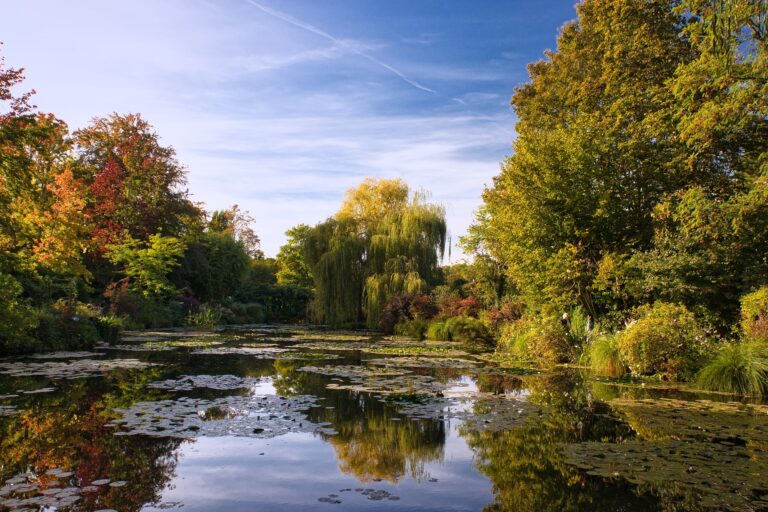 pond-6292015_1920